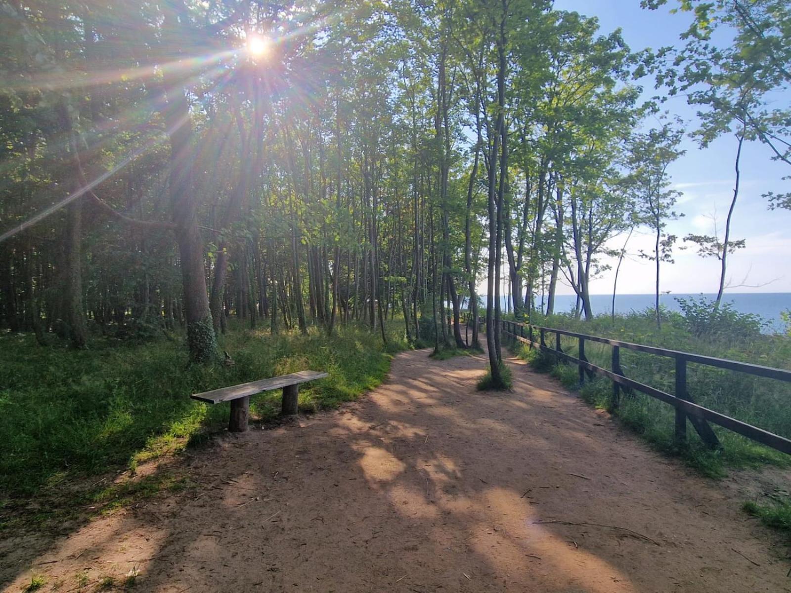Osrodek Promenada- Domki Jastrzębia Góra Екстериор снимка