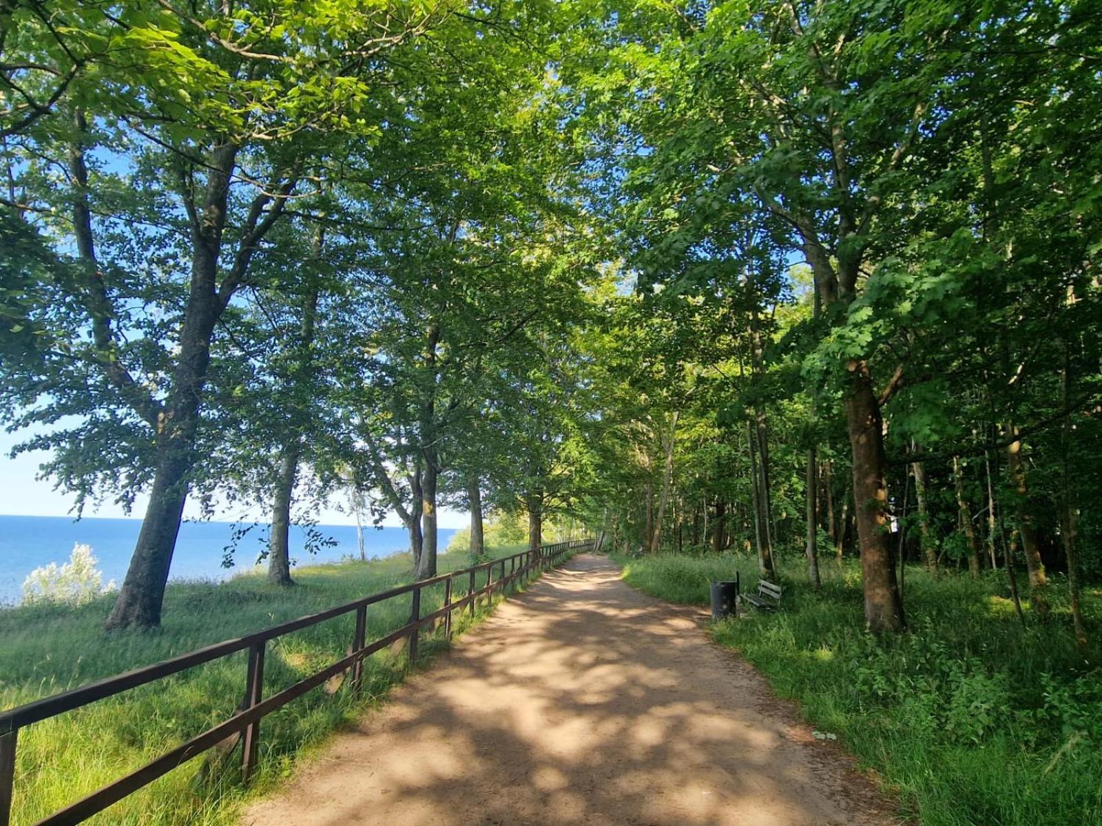Osrodek Promenada- Domki Jastrzębia Góra Екстериор снимка